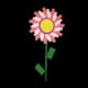 Candy Sunflower - Uncommon rarity crop worth 720 Sheckles in Roblox Grow A Garden