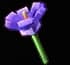 Crocus - Uncommon rarity crop worth 380 Sheckles in Roblox Grow A Garden