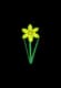 Daffodil - Uncommon rarity crop worth 350 Sheckles in Roblox Grow A Garden