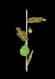 Easter Egg - Rare rarity crop worth 890 Sheckles in Roblox Grow A Garden