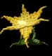 Honeysuckle - Uncommon rarity crop worth 580 Sheckles in Roblox Grow A Garden