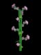 Lilac - Uncommon rarity crop worth 480 Sheckles in Roblox Grow A Garden