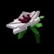 Manuka Flower - Uncommon rarity crop worth 680 Sheckles in Roblox Grow A Garden