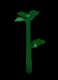 Mint - Common rarity crop worth 120 Sheckles in Roblox Grow A Garden