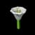 Moonflower - Uncommon rarity crop worth 680 Sheckles in Roblox Grow A Garden
