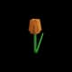 Orange Tulip - Uncommon rarity crop worth 420 Sheckles in Roblox Grow A Garden
