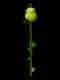 Pear - Common rarity crop worth 180 Sheckles in Roblox Grow A Garden