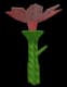 Pink Lily - Uncommon rarity crop worth 680 Sheckles in Roblox Grow A Garden