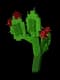 Prickly Pear - Mythical rarity crop worth 555,000 Sheckles in Roblox Grow A Garden