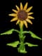 Sunflower - Uncommon rarity crop worth 450 Sheckles in Roblox Grow A Garden