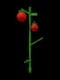 Tomato - Rare rarity crop worth 800 Sheckles in Roblox Grow A Garden