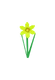 Daffodil - Grow A Garden Roblox crop icon for value calculator