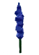 Delphinium - crop icon