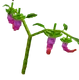 Dragon Pepper - Grow A Garden Roblox crop icon for value calculator
