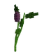 Eggplant - Grow A Garden Roblox crop icon for value calculator