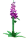 Foxglove - Grow A Garden Roblox crop icon for value calculator