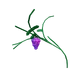 Grape - Grow A Garden Roblox crop icon for value calculator