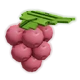 Lingonberry - crop icon