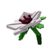 Manuka Flower - Grow A Garden Roblox crop icon for value calculator