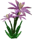 Paradise Petal - crop icon