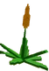 Succulent - Grow A Garden Roblox crop icon for value calculator