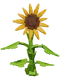 Sunflower - Grow A Garden Roblox crop icon for value calculator