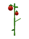 Tomato - Grow A Garden Roblox crop icon for value calculator